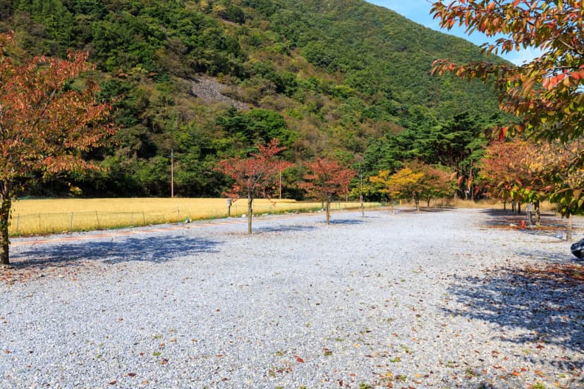 월악산억수솔밭캠핑장 사진 11