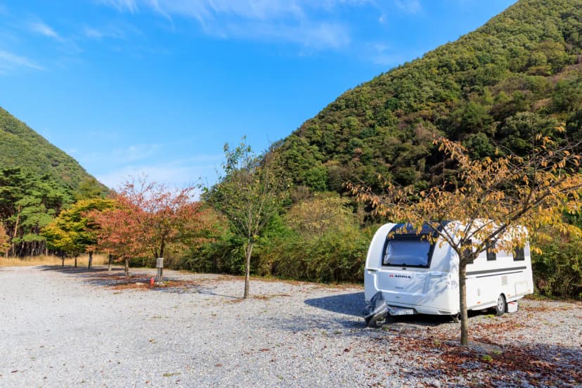 월악산억수솔밭캠핑장 사진 13