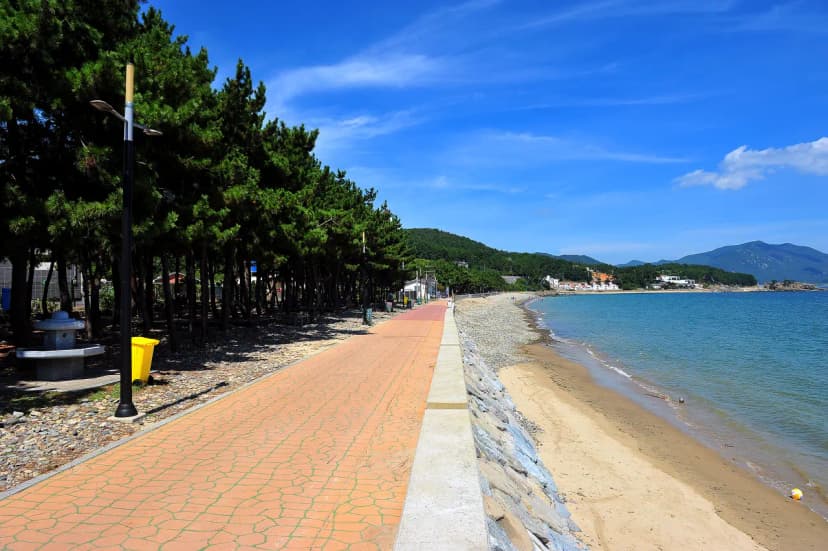 월포해수욕장야영장 사진 8