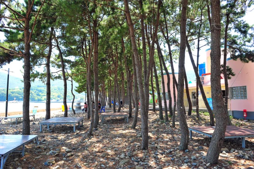 월포해수욕장야영장 사진 13