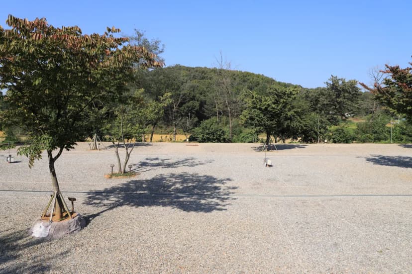 은빛초원 캠핑장 사진 5