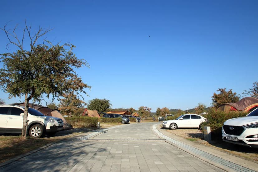 대신 오토 캠핑장 사진 7