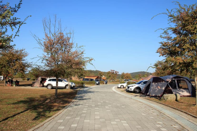 대신 오토 캠핑장 사진 13