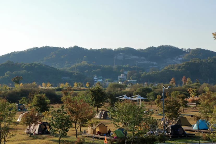 대신 웰빙 캠핑장 사진 2