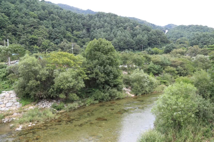 인제연가리오토캠핑장펜션 사진 3