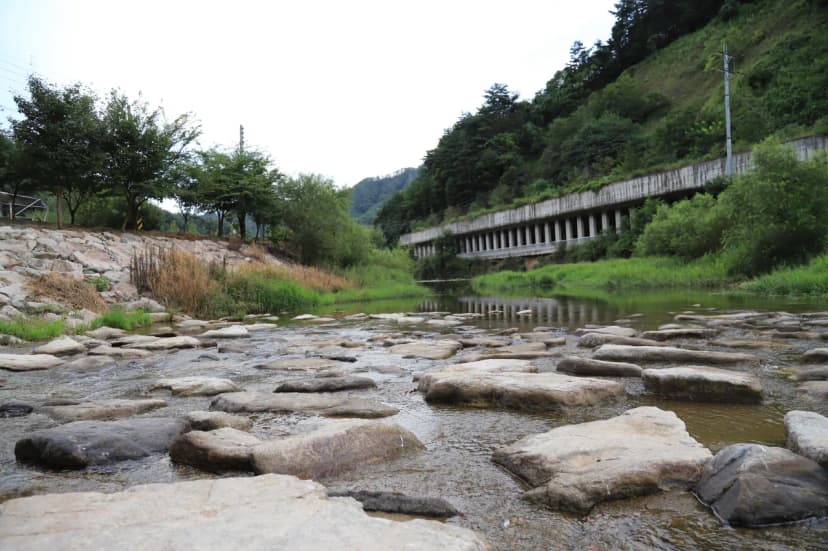 인제 아리캠핑장 사진 4