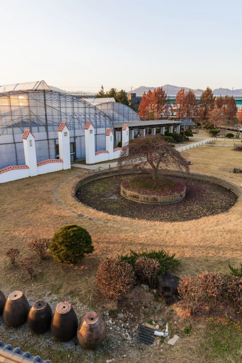 자라섬 캠핑장 사진 4