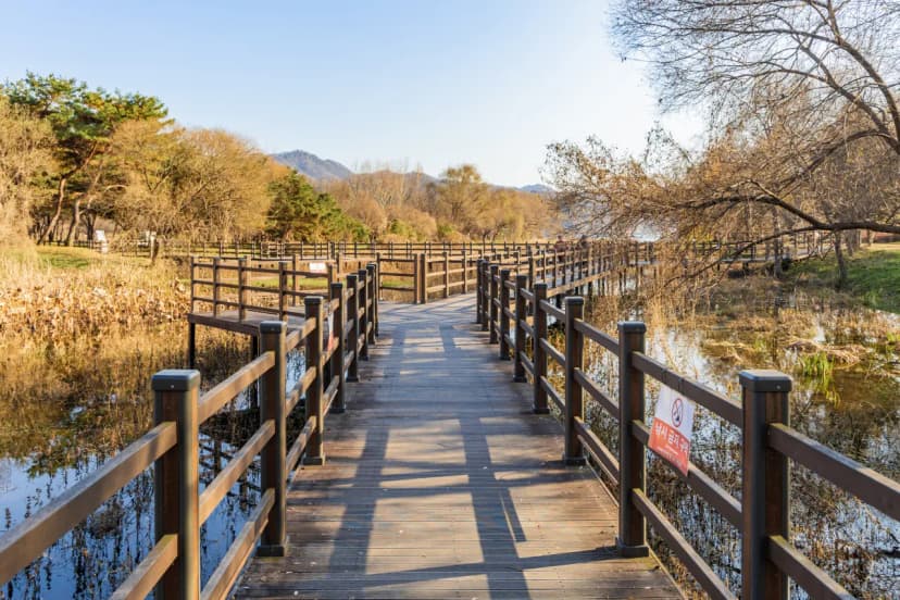 자라섬 캠핑장 사진 17