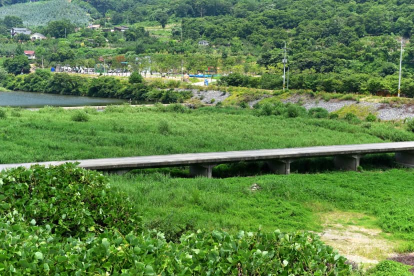 자연속 캠핑장 사진 18