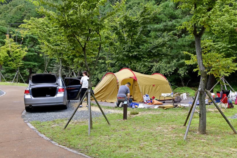 작천정달빛야영장 사진 8