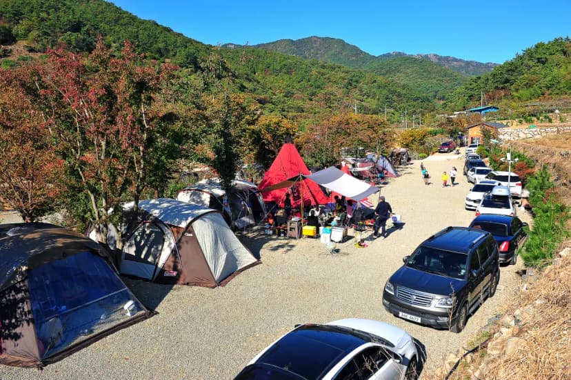 고성 장좌리 캠핑장 사진 4