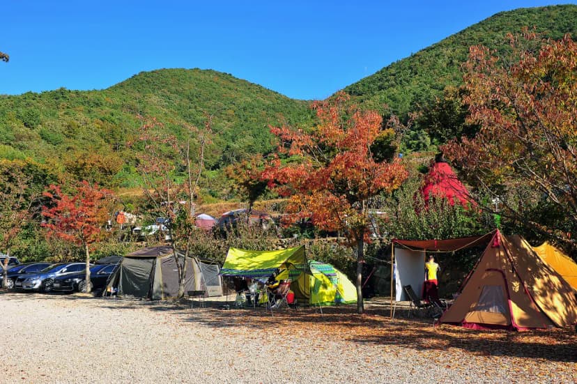 고성 장좌리 캠핑장 사진 7