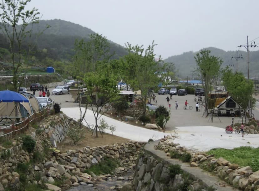 고성 장좌리 캠핑장 사진 19