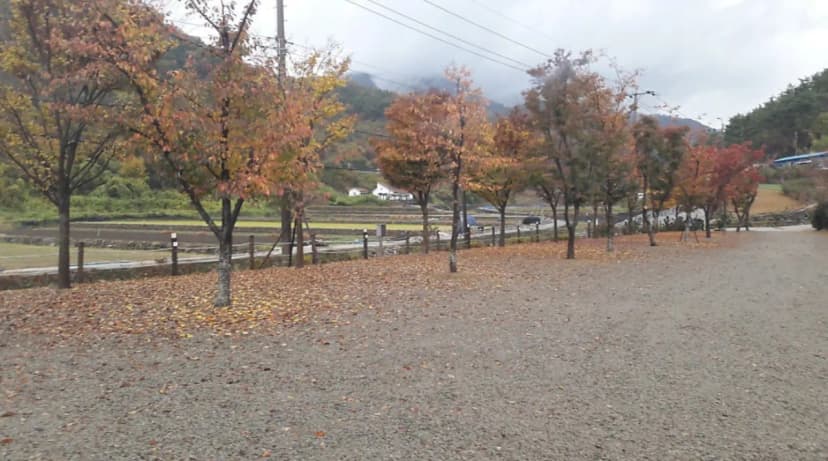 고성 장좌리 캠핑장 사진 20
