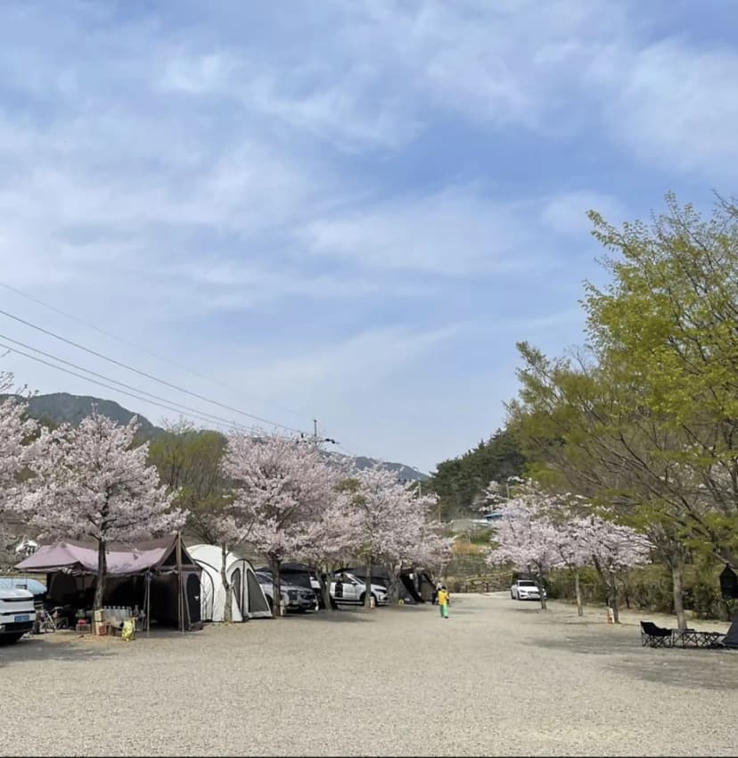 고성 장좌리 캠핑장 사진 21