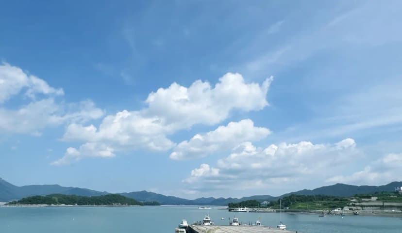 주식회사 웰니스 사진 10