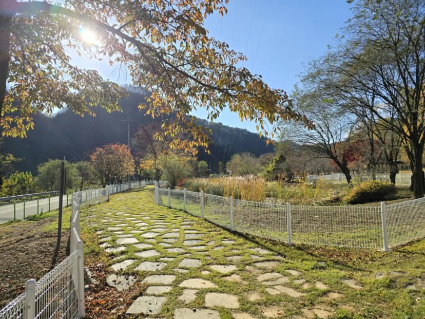 정선 펫 캠핑장 사진 7