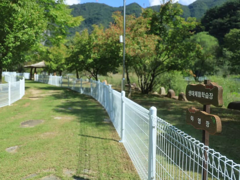 정선 펫 캠핑장 사진 10