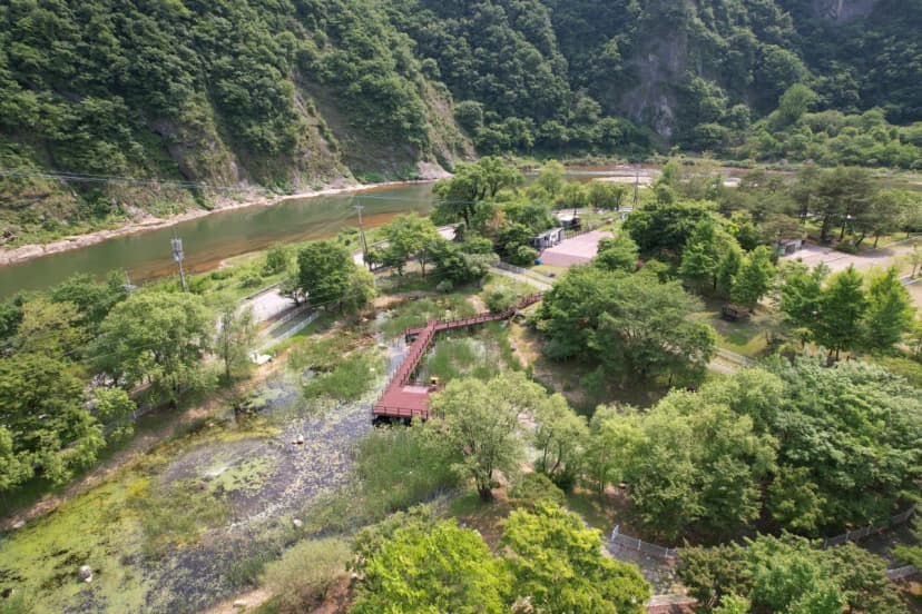 정선 펫 캠핑장 사진 15