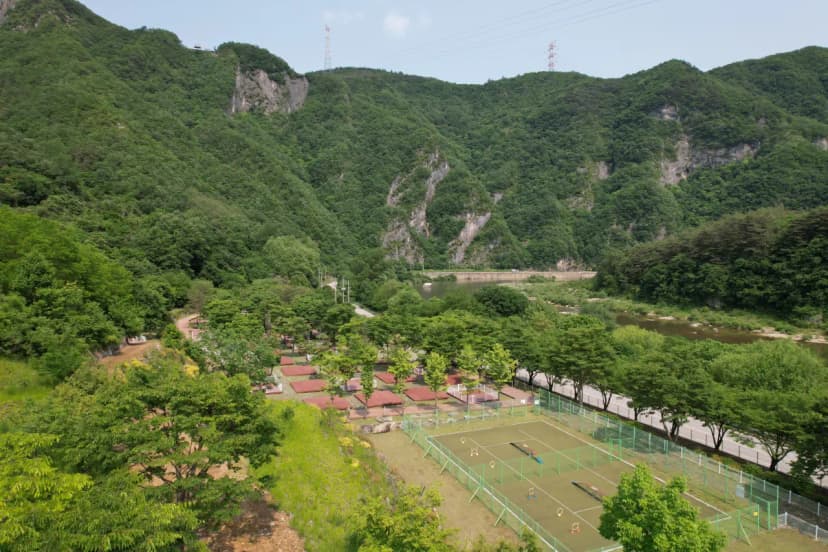 정선 펫 캠핑장 사진 17