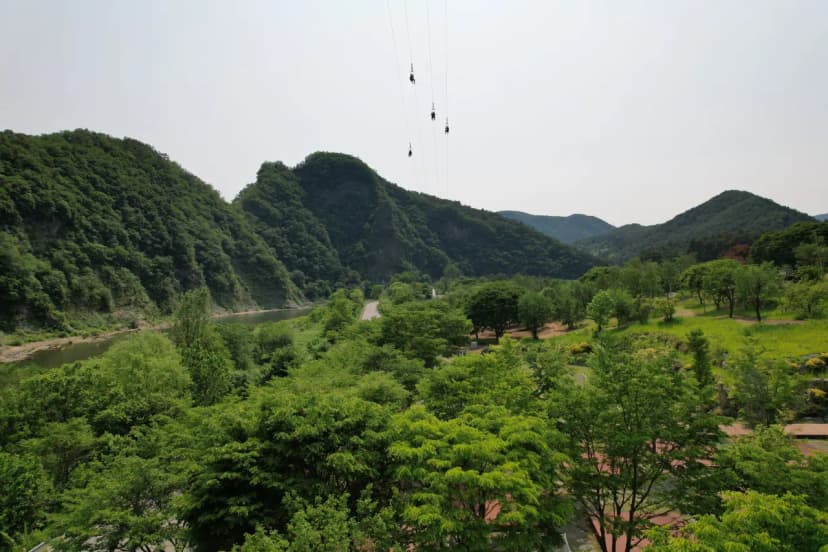 정선 펫 캠핑장 사진 19