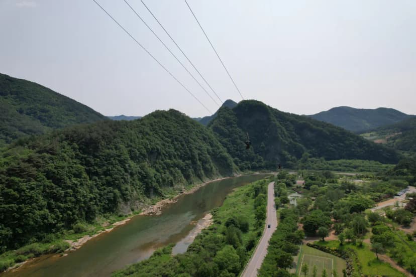 정선 펫 캠핑장 사진 21