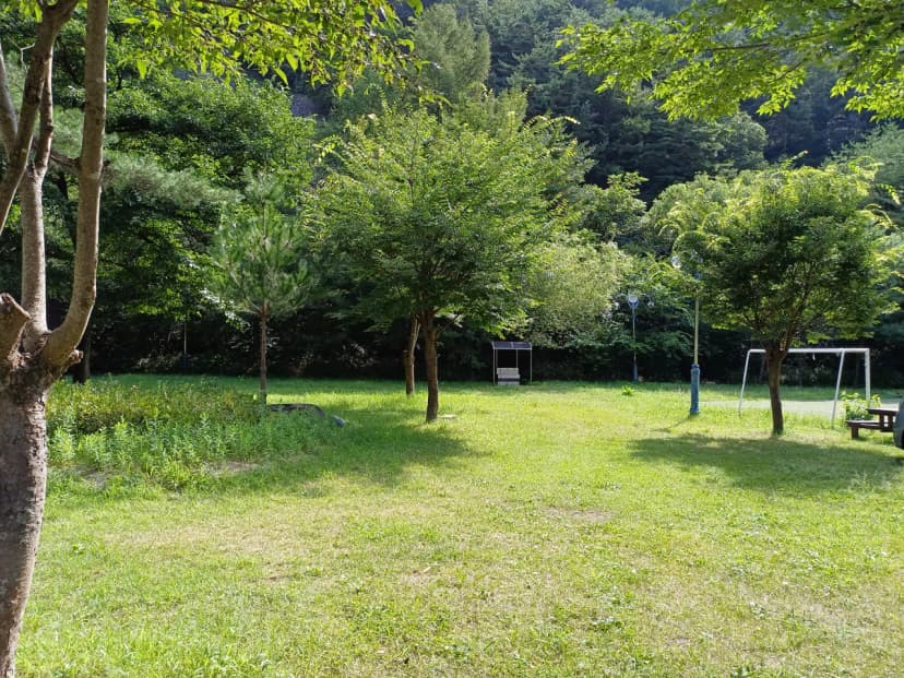 졸드루오토캠핑장 사진 4