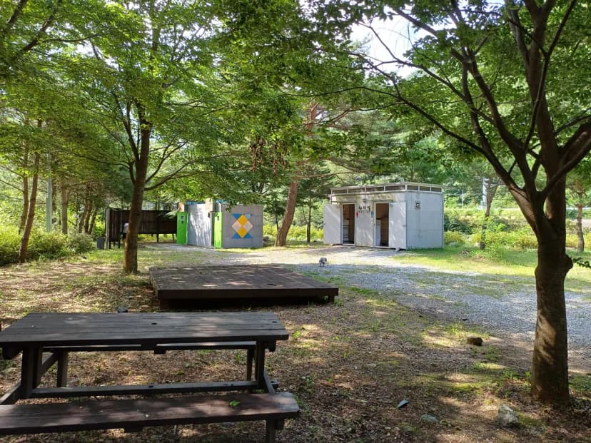 졸드루오토캠핑장 사진 6