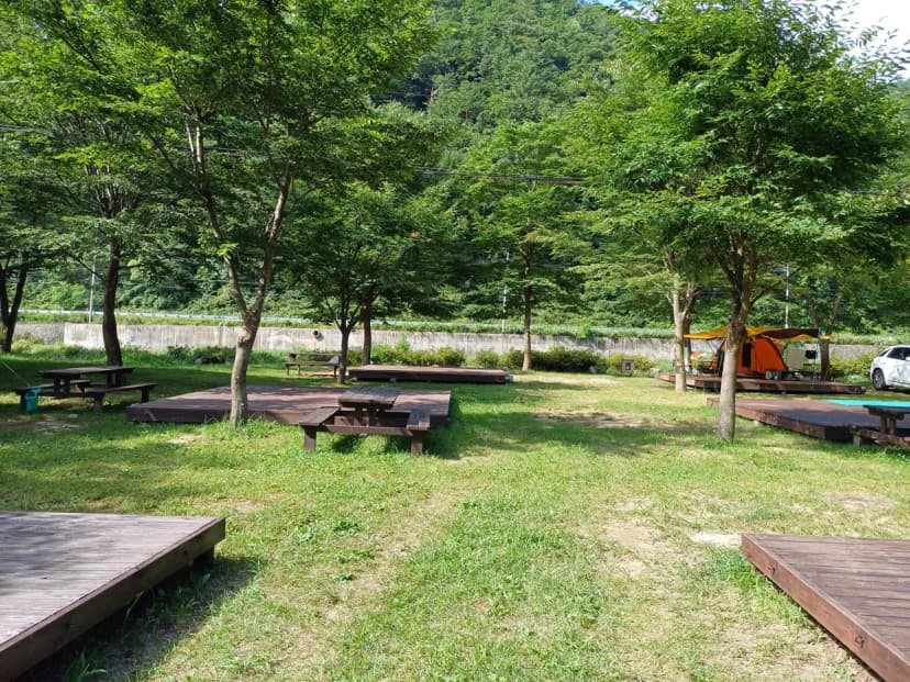 졸드루오토캠핑장 사진 8