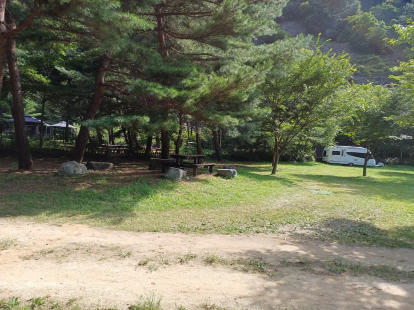 졸드루오토캠핑장 사진 9