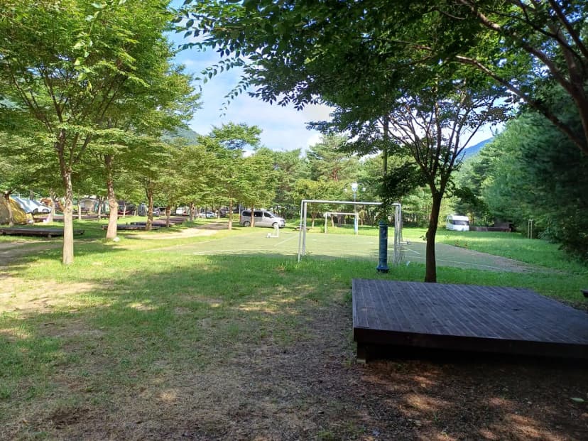 졸드루오토캠핑장 사진 10