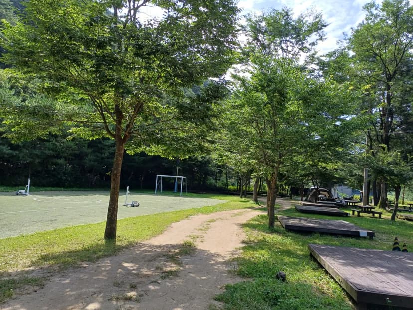 졸드루오토캠핑장 사진 11