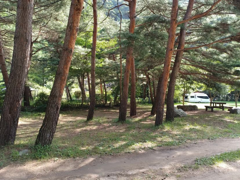 졸드루오토캠핑장 사진 12
