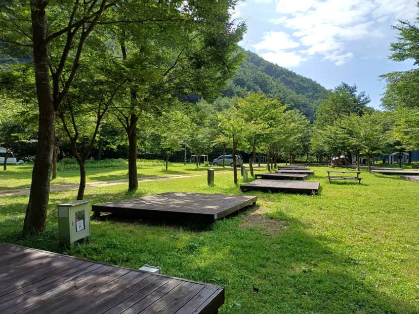 졸드루오토캠핑장 사진 16