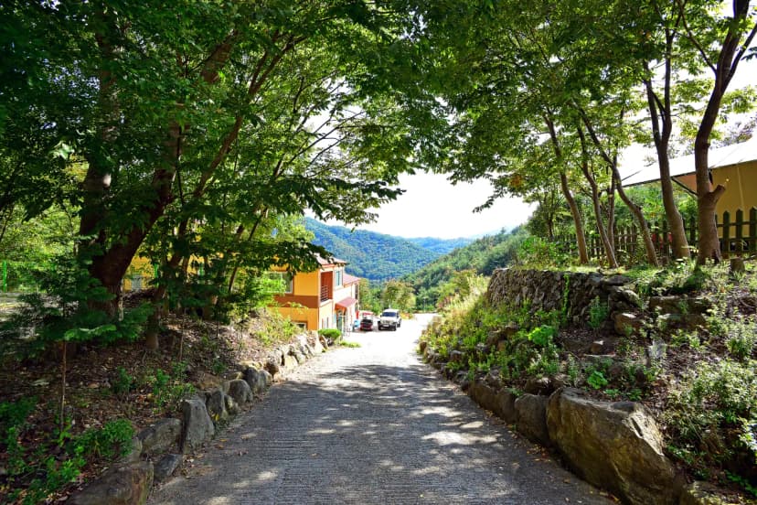 좋은세상리조트 글램핑펜션 사진 3