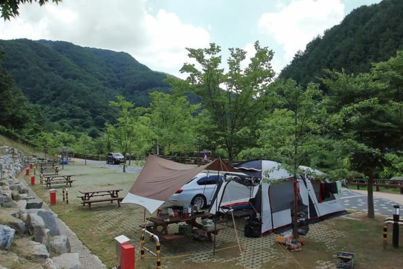 좌구산오토캠핑장 사진 3