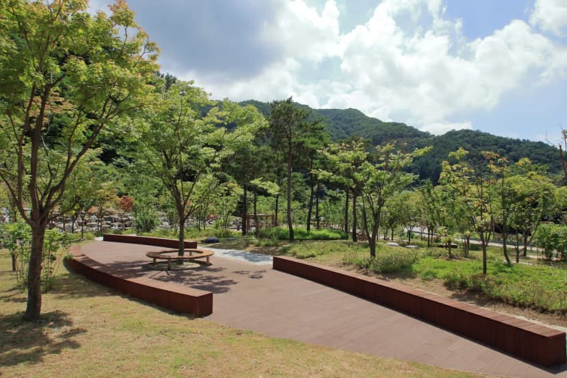 좌구산오토캠핑장 사진 9