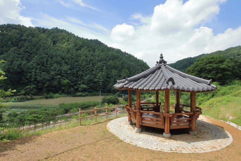 좌구산오토캠핑장 사진 11