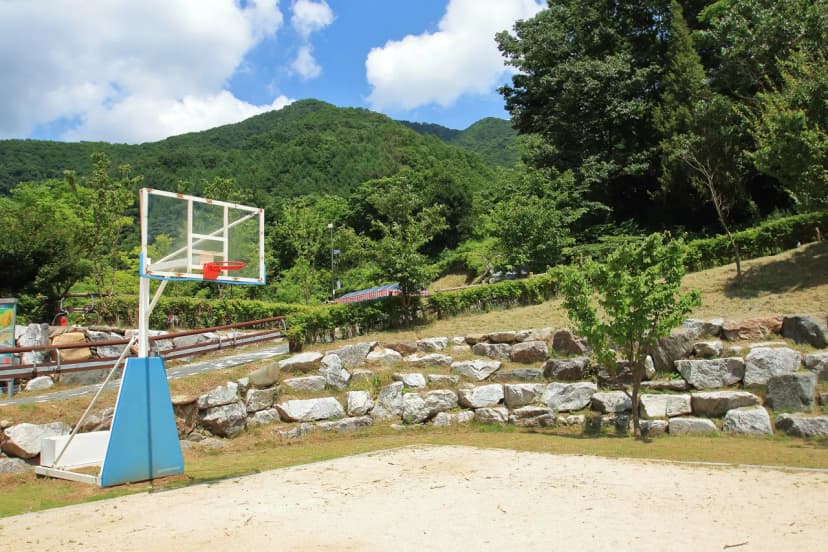 좌구산오토캠핑장 사진 12