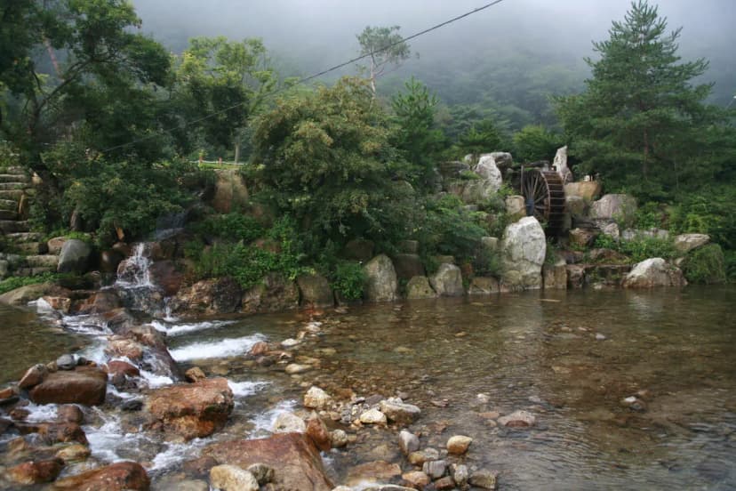 주막거리캠프 사진 10