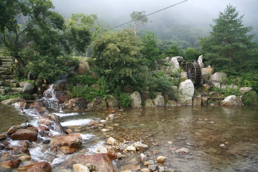 주막거리캠프 사진 11