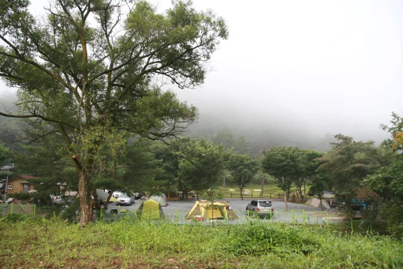 주막거리캠프 사진 12