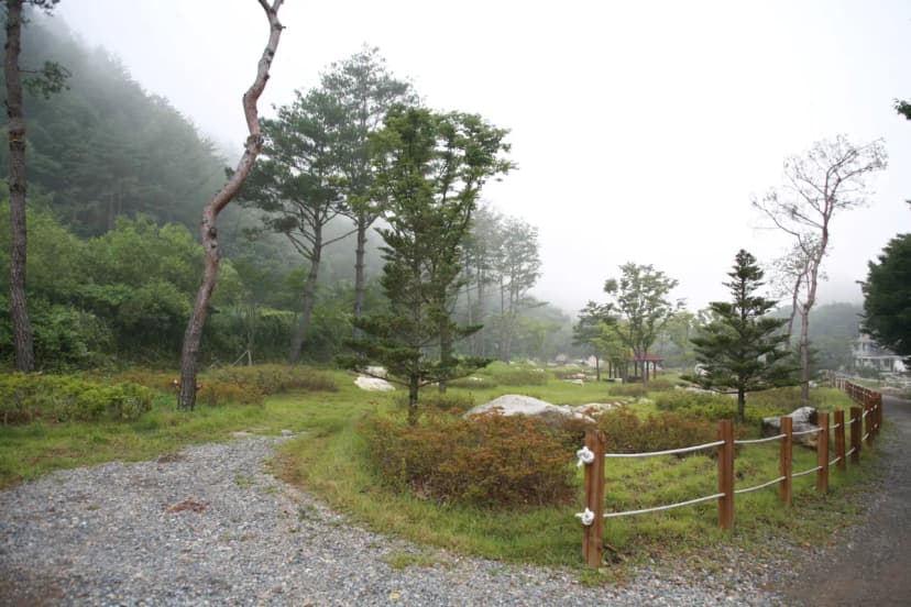 주막거리캠프 사진 14