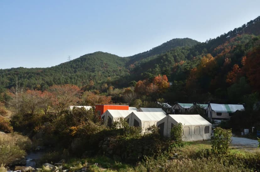 주문진글램핑 오토캠핑장 사진 6