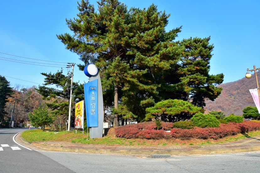 주식회사 신북리조트 사진 4