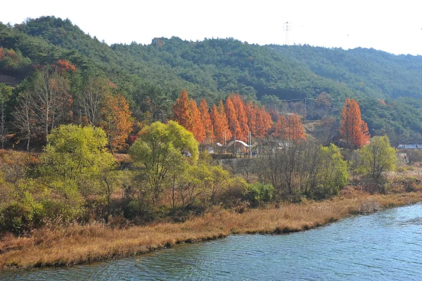 주암 오토캠핑장 사진 9
