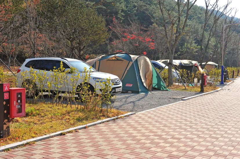 주암 오토캠핑장 사진 15