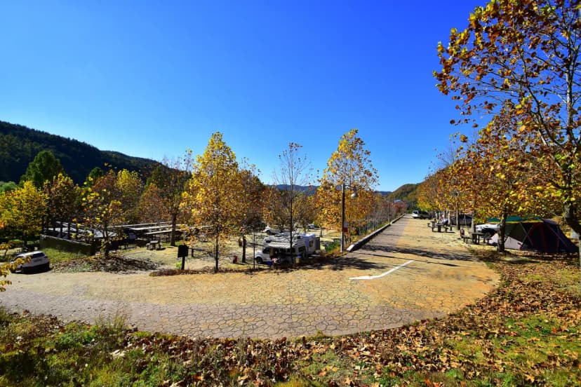 상의자동차야영장 사진 16