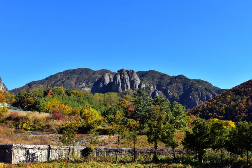 상의자동차야영장 사진 17