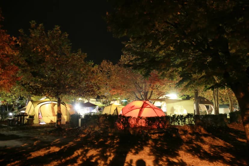 상의자동차야영장 사진 20